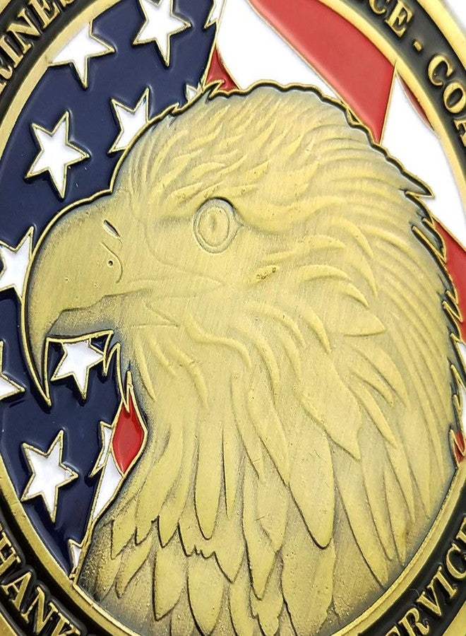 Glamtune USA Proud Military Family Military Challenge Coin Veteran Medallion (Gold-Plating) - Image 4